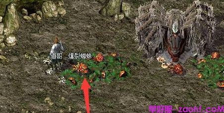 爆裂蜘蛛怪物